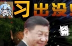 习出没